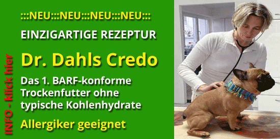 credo2